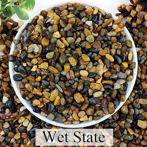 2lbs Natural River Rocks, 1/4" Aquarium Gravel Succulent Cactus Pea Gravel for Plants, Fish Tank, Decorative Pebbles for Gardening, Flower Pots, Vase Fillers, Indoor Water Fountains, Landscaping