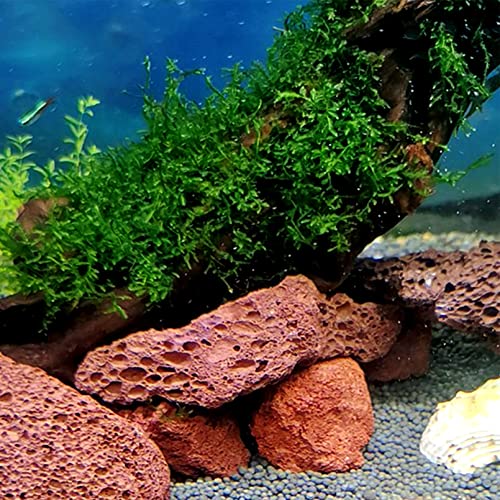 Tfwadmx Aquarium Red Lava Rock 10 Pack Fish Tank Volcanic Pumice Stones for Betta Fish Shrimp (1.96''-3.14'') - color: Red, size: L:2''-3.2''