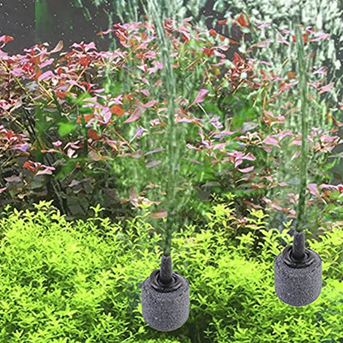 Air Stone Cylinder Bubble Diffuser Airstones for Aquarium 0.8/0.9inch Diffuser Release Tool for Nano Air Pumps Small Buckets and Fish Tanks