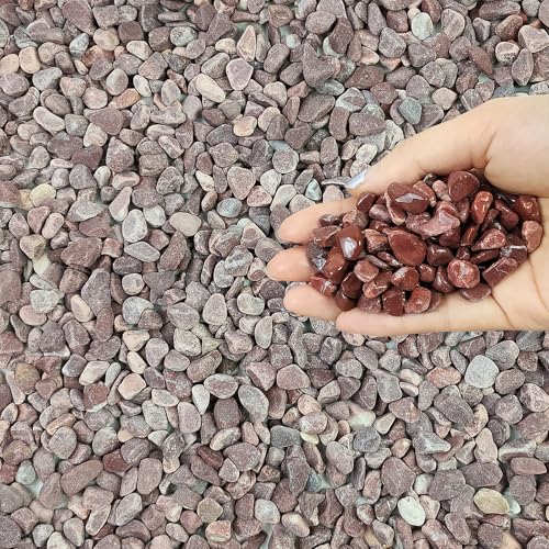 FANTIAN 2 lbs Succulent and Cactus Pebbles Gravel, 3/8 Inch Decorative Red River Rocks for Plants Indoor, Vases, Terrarium, Potted Top Dressing and Outdoor Decorative Stones - color: Red Gravel
