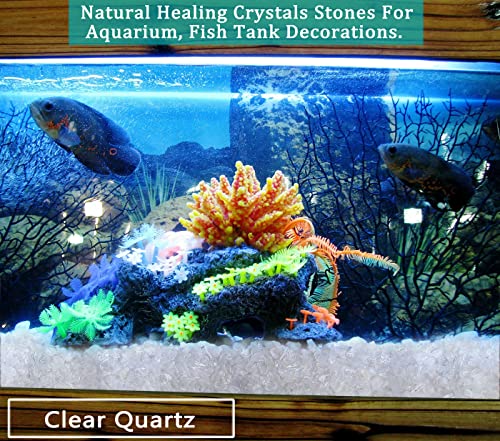 MAIBAOTA Natural Clear Quartz Crystal Rocks Chips Vase Filler Rocks for Succulent Plant Small Fish Tank Aquarium Gravel Decorative Pebbles Stones(200 gram) - color: White-clear Quartz, size: 0.45 Pound