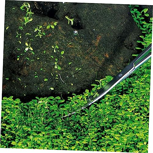 Stainless Steel Curved Tip Scissors Aquatic Plant Trimming Tools for Fish Tank Ergonomic Design Resistant Blades for Low-angle and High-angle Plant Care