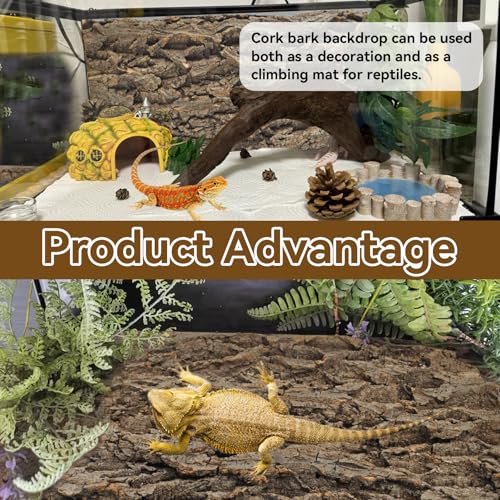 2PCS Reptile Cork Bark Background,15.74 x 11.81 Inch Natural Cork Wood Terrarium Background Bearded Dragon Tank Bark Backdrop Wall Decor for Lizard Gecko Chameleon Tortoise Snake Spider Frog - size: 【15.74 x 11.81 In】