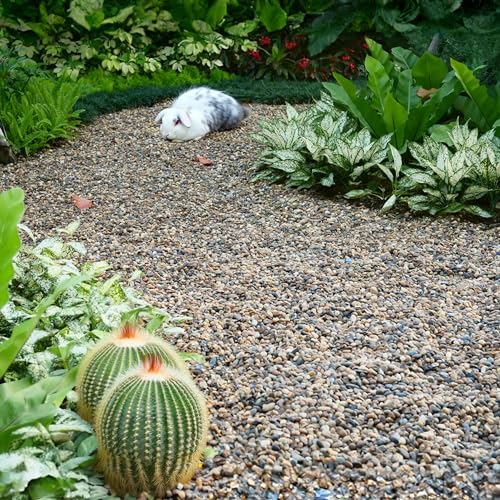 2 lbs Aquarium Gravel, 2-4mm Fish Tank Gravel, Succulent Cactus Pea Gravel for Indoor Plants, River Rocks for Gardening, Flower Pots, Vase Fillers, Garden Landscaping - size: 2-4mm