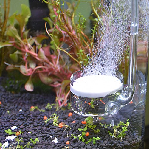 CO2 Diffuser Glass Reactor with U Shape Connecting Tube for Pollen Aquarium Plants Tank(CO2 Diffuser-Large Flat-Bottomed) - color: CO2 Diffuser-Large Flat-Bottomed
