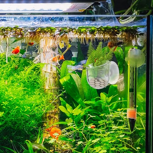 Yolev Aquarium Plant Holder 2Pack Clear Plant Holder for Fish Tank Hanging Fish Tank Plants Pot Holders for Aquarium Planter Cup with Suction Cup
