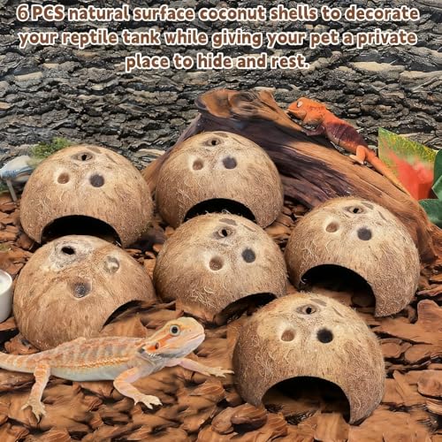 Natural Coconut Reptile Hideouts Lizard, Coco Hut Hermit Crab Hut Aquarium Fish Hide Cave for Small Reptile Crested Gecko Leopard Gecko Spider Snail Climber Toys (6 PCS Natural Surface)