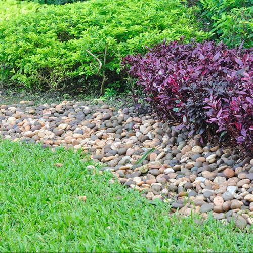 Pulovin 5lbs River Rocks for Landscaping, 2"-3" Decorative Garden Stones for Plants, Flower Pots, Vase, Walkways, Yard, Natural Rocks for Aquarium, Fish Tank - size: 2-3 Inch