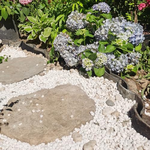 FANTIAN 20 lbs White River Rocks for Landscaping, 0.5-1 Inch Pebbles for Indoor Plants, Decorative Stones for Succulent, Cactus, Vases, Aquariums, Crafting and Garden - color: White, size: 20 lbs, 0.5-1 Inch