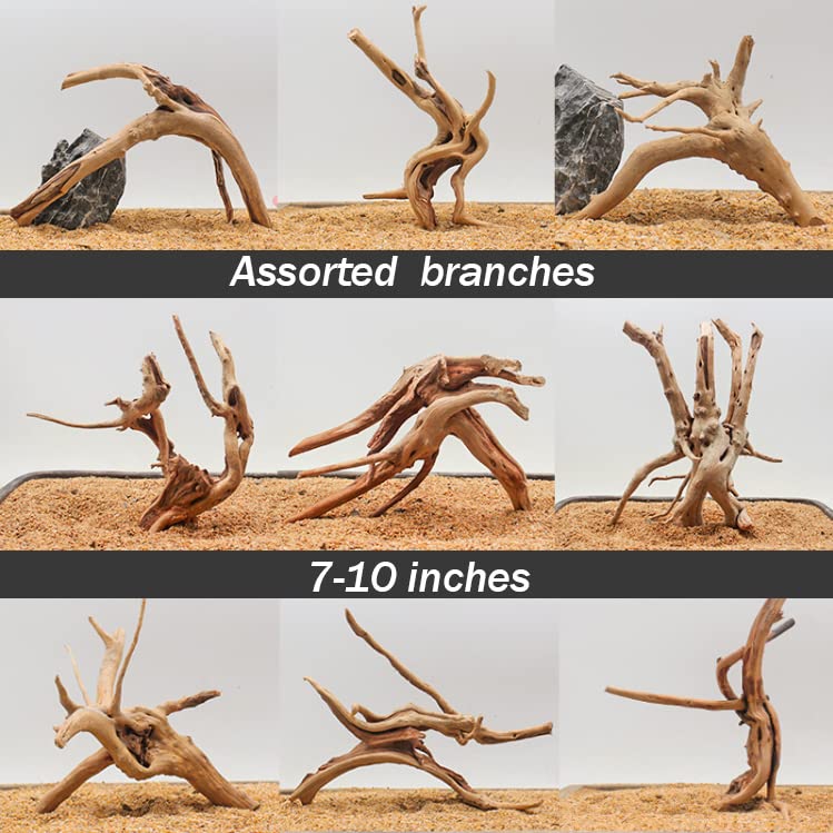 Hamiledyi 7-10in Natural Aquarium Driftwood 2PCS Large Reptile Spider Wood Ornament Assorted Branches Natural Driftwood Log Fish Tank Decoration - size: Large:spiderwood 7-10in 2PCS