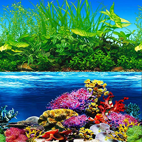 ELEBOX New 20" x 48" Fish Tank Background Paper Wallpaper 2 Sided Colorful Seaweed Water Plants Aquarium Background Picture - color: Coral Reef, size: H:19.5"x L:48"