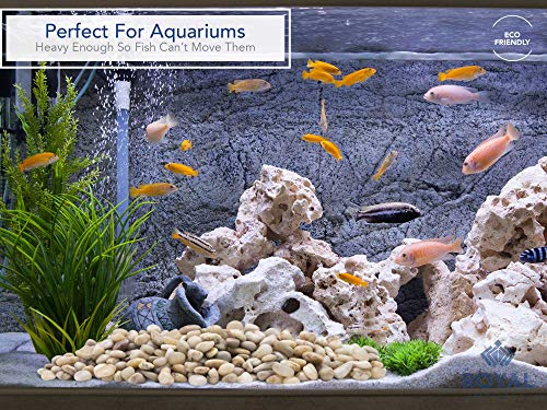River Rocks Decorative Ornamental Vase Filler 1"-1.5" Light Aquarium Gravel 5 lbs - Landscaping Pebbles for Indoor Plants, Fish Tank Gravel, Terrarium& Home Decor, DIY & Crafting – Royal Imports - size: Medium - 5 lbs, style: Light