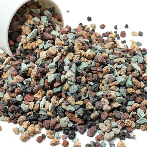 YISZM Succulent Cactus Soil Potting Mix Horticultural Lava Rocks Bonsai Soil for Indoor Plants Drainage Volcanic Rock for Terrarium Gardening Top Dressing 2lb - color: Multi, size: 2 Pounds
