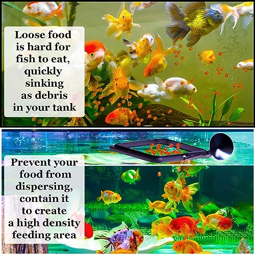 SunGrow Fish Food Feeding Ring, Stop Water Turbulence from Washing Food & Floating Plants into Filtration System, Suitable for Flakes & Floating Fish Pellets (3 Pieces) - size: 3 Pieces