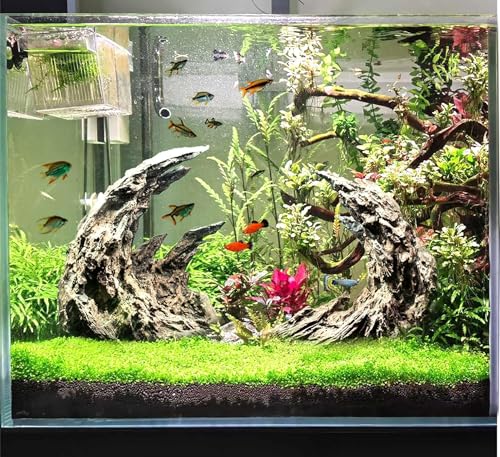 Novelsite Fish Tank Decor- Jagged Canyon Rock Formation ，Made of Solid Sandstone，Suitable for a Variety of Fish Tank Scenes, DIY Planting Moss, Safe and Non-Toxic - color: Grey Rockery, size: Canyon-S
