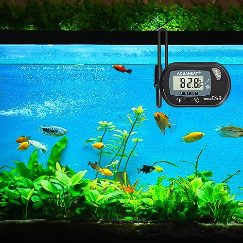 AQUANEAT Aquarium Thermometer, Fish Tank Thermometer, Digital Temperature Test, with Large LCD Display (3 Packs) - size: 3 Packs