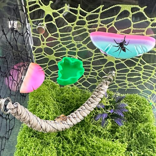 2 PCS Jumping Spider Feeding Dish, Leaf Shape Tiny Food Dishes Water Bowl with 1PC Tweezer and 1PC Dropper for Jumping Spider, Tarantula and Other Small Pets