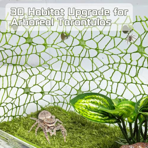 Hamiledyi Jumping Spider Enclosure Accessories 20 x 12'' Climbing Net Magnetic Spider Web Mesh Mantis Enclosure Net Tarantula Terrarium Habitat Decor (White+Green) - color: White+Green