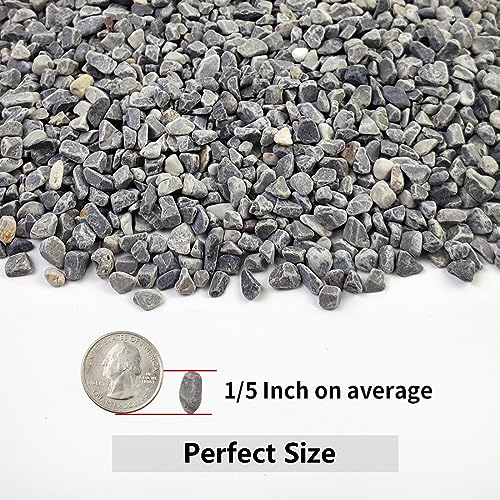 YISZM 10LB Succulent and Cactus Gravel, 1/5 Inch Natural Decorative Polished Pebbles for Landscaping, Grey River Rocks for Plants, Vases, Aquariums, Terrarium and Outdoor Gardening - color: Grey, size: 10 Pounds