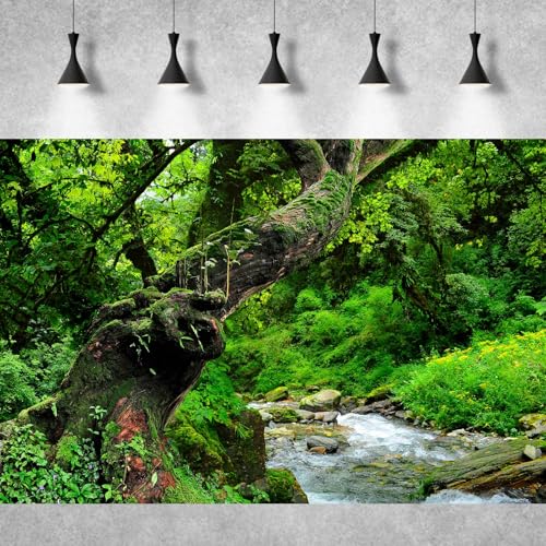 Jungle Rainforest Aquarium Background Lush Green Old Trees Stream Terrarium Background Rock River Forest Natural Landscape Fish Tank Background Jungle Style Reptile Habitat Background 24x12in - color: Forest Green, size: 24(W)x12(H)in