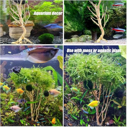 Natural Aquarium Tree Driftwood Aquarium Decor Fish Tank Decoration for Fish Shrimp (1)