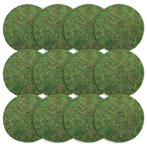 Canlierr 12 Pack Dried Moss Mats Sheets for Crafts, 10/12 Inch Round Green Preserved Moss Placemats for Wedding Party Birthday DIY Garden Plants Decor Home Table Decoration(12 Inch) - size: 12 Inch
