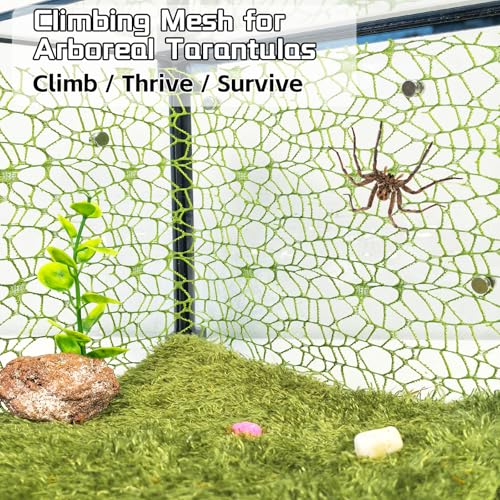 Hamiledyi Jumping Spider Enclosure Accessories 20 x 12'' Climbing Net Magnetic Spider Web Mesh Mantis Enclosure Net Tarantula Terrarium Habitat Decor (White+Green) - color: White+Green