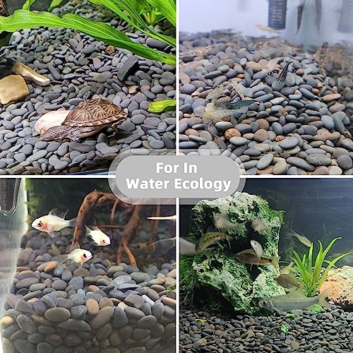 18lb Small Smooth River Rocks Pebbles for Plants & Succulents, Decorative Outdoor Landscaping Garden Rocks, Natural Mexican Beach Pebbles, Gravel for Aquarium, Fish Tanks, Vase and Yard Decor - size: 18LB, style: Small