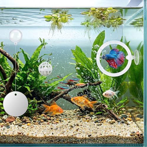 Betta Fish Tank Accessories Beta Enrichment Toys 2 Fish Exercise Training Rings with Suction Cups 2 Nitrifying Balls and 1 Floating Mirror with Ball for Aquarium Tank