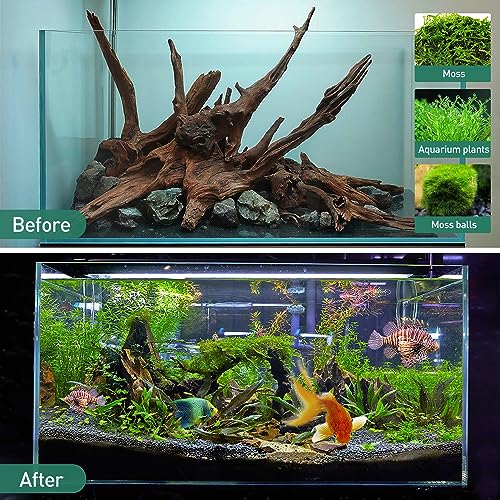 Natural Driftwood for Aquarium Decor, 10-Piece 2''-5'' Small Driftwood for Decorations on Fish Tank, Reptiles Bearded Dragon Accessories or Air Plants