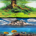 ELEBOX 3D Aquarium Background Double Sides Fish Tank Wallpaper Background Blue Sky Sea & Aquatic Plant Poster - color: M, size: H:19.5"x L:48"