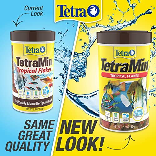 TetraMin Tropical Flakes 7.06 Ounces, 12-Pack - size: 5.3 Pound (Pack of 1)