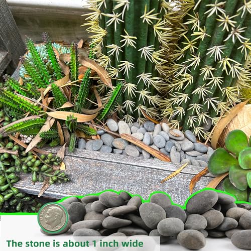 45LB River Rocks,Mexican Beach Pebbles for Plants,Potting,Garden Landscape Stone Paving Stone Grey 1Inch… - size: 45LB, style: Medium