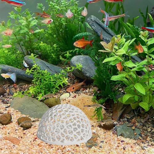 4 PCS Shrimp Dome Hide, Aquarium Shrimp Cave Hideout, Shrimp Hides for Aquarium Small Fish Guppy Shrimp Habitat Rest