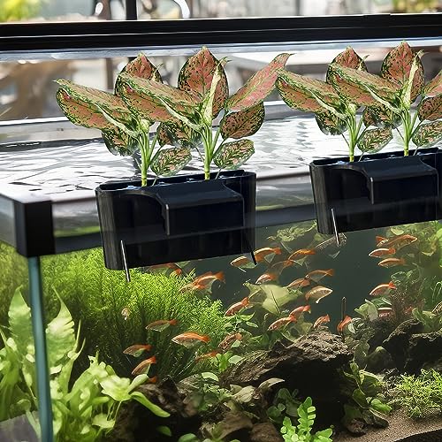 2 PCS Aquarium Plant Holder Top Hanging Fish Tank Plant Pot Aquarium Planter Cups for Water Feature Decoration - color: Rimmedr - Black