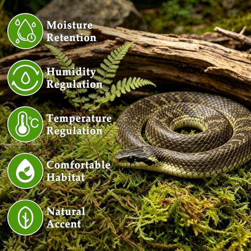 Halatool 9OZ Natural Sphagnum Moss for Reptiles- 14QT Green Moss for Terrarium Plants Long Fiber Reptile Moss for Leopard Gecko Snake Hamsters Tortoises Frogs Lizards Salamanders - size: 9OZ