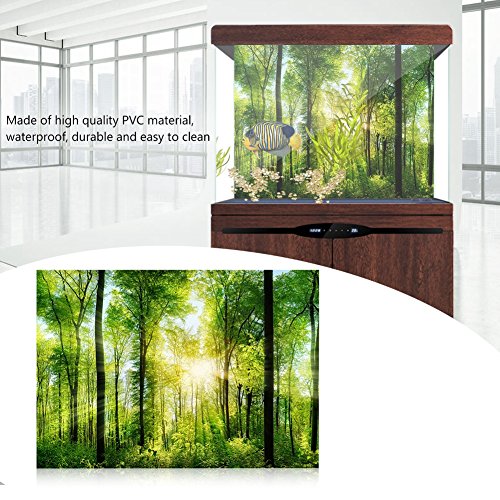 FILFEEL Aquarium Decor Background 3D Effect Fish Poster PVC Adhesive Decor Sticker Paper Cling Decals Sunshine and Forest (122 x 50cm)