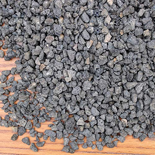 Boniosz 5lb Black Horticultural Lava Rock Soil Additive for Cacti, Vase Fillers, Succulents and Terrarium Plants - No Dyes or Chemicals - 100% Pure Volcanic Rock - color: Black Lava Rocks, size: 5lb
