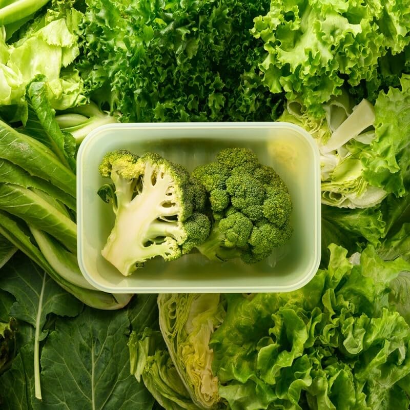 LocknLock Fresh-Block Plastic Food Storage Container | Produce Storage Containers for Fridge | Vegetable & Fruit Storage Containers for Fridge, Airtight Storage, Microwave & Dishwasher Safe, 760ml - size: 760ml