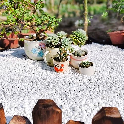YISZM 10LB Succulent and Cactus Gravel, 1/5 Inch White Natural Decorative Polished Pebbles for Landscaping, River Rocks for Plants, Vases, Aquariums, Terrarium and Outdoor Gardening - color: White, size: 10 Pounds