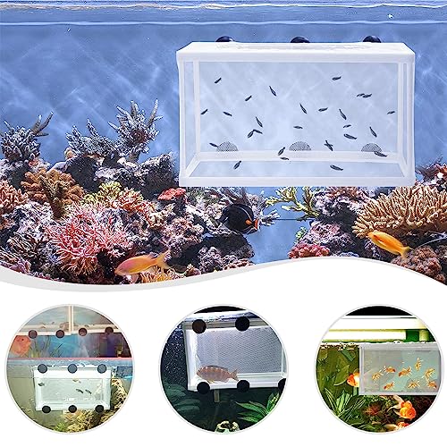 Aquarium Fry Hatchery Net Fine Mesh Fish Hatchery Isolation Net with Suction Cups Hatchery Transparent Isolation Box for Fish Tank