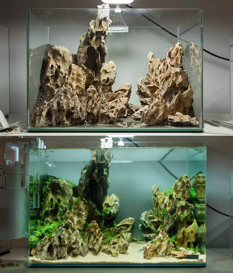 Natural Dragon Rock Carefully Selected Mixed Sizes, Decorative Aquarium Rocks, Aquarium Stones for Fish Tank (10lb-Extra Large) - size: 10lb-Extra large