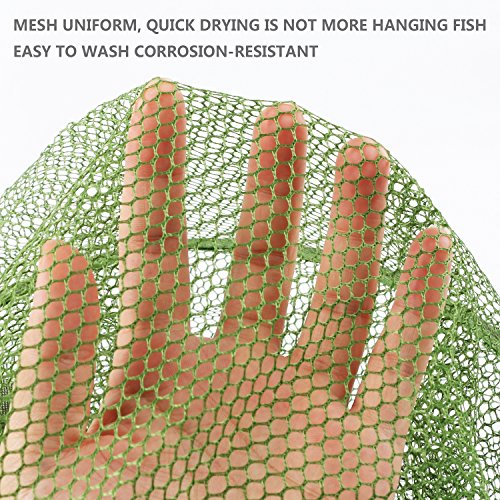 Collapsible Fish Basket Mesh Fish Trap Portable Fish Cage Foldable Fishing Keep Net for Keeping Fish Alive, Bait Storage Crayfish Crab Minnows Shrimps Lobsters - color: Green