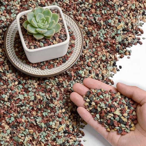 44lb Mix Lava Rocks for Plants 1/4" Horticultural Pumice for Plants, Succulent Cactus Soil Potting Mix - Horticultural Sand Aquarium Gravel Drainage Rocks for Potted Plant, Bonsai Soil, Top Dressing - size: 1/4 Inch