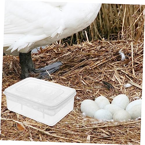 DOITOOL Egg Hatchery Tray for Reptiles Gecko Incubator Box Professional Reptile Egg Incubator