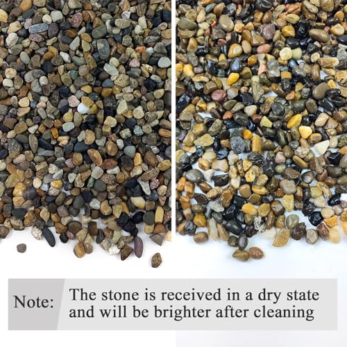 FANTIAN 2 lbs Aquarium Gravel, 1/4 inch Pea Gravel for Fish Tank, Decorative Pebbles River Rocks for Plants Succulent Vase Indoor Water Fountains and Outdoor Landscaping - size: 1/4 Inch