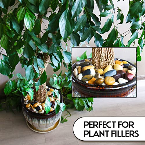 Polished Colored Stone Pebbles 10 Lb. 1” – 2” inch Pebbles for Plants, Fairy Gardens, Décor, Landscaping, Succulent, Terrarium, Decorative, 100% Natural Colorful Stone Pebbles, Multicolored Rocks