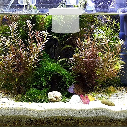 Mipcase Floating Fish Box Acrylic Aquarium Fish Breeding Box Guppies Hatching Incubator for Hatchery 10X10X8CM - color: Transparent