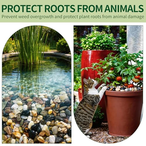Small Rocks for Plants，3/8" Small Pebbles，1lbs Small River Rocks Decorative Pea Gravel，Pebbles for Indoor Plants, Vases, Bamboo, Succulent, Terrarium, Crafts, Cactus - color: Natural Mixed Color, size: 1 LB