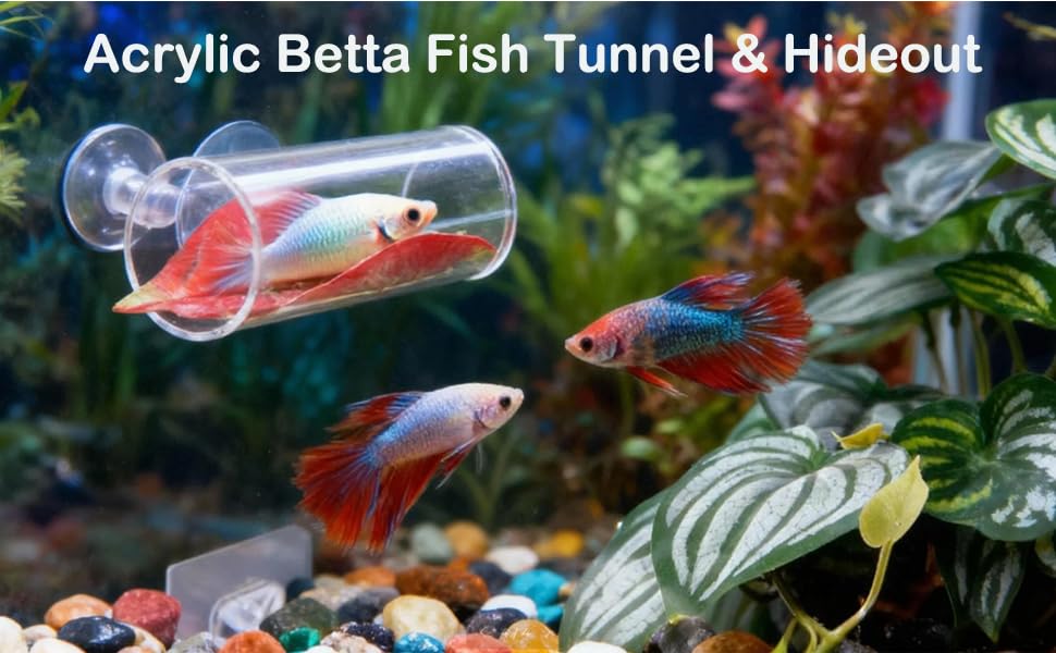 11pcs Betta Fish Enrichment Toys Fish Hideout Exercise Rings Floating Mirror Balls Tank Feeding Rings Training Ring Feeder Hammock Acrylic Tube Resting Breeding Tunnel Spot Aquarium Decor Accessory